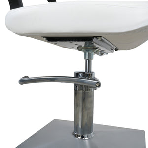 Roman Salon Styling Chair