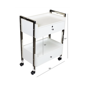 Salon Spa Cart With Two Drawers