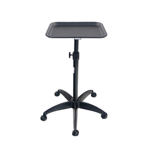 Salon Tray Cart Trolley (Steel, Removable)