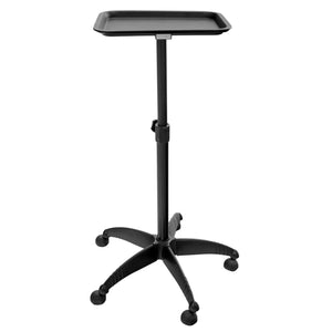 Stainless Steel Salon Tray Cart on Wheels