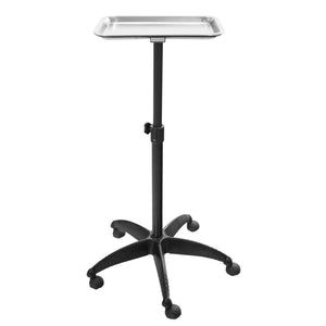 Stainless Steel Salon Tray Cart on Wheels