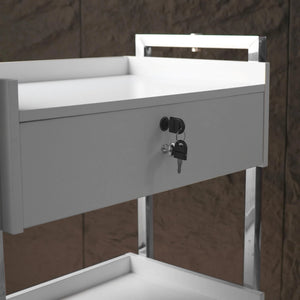 Salon Spa Cart With Two Drawers