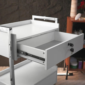 Salon Spa Cart With Two Drawers