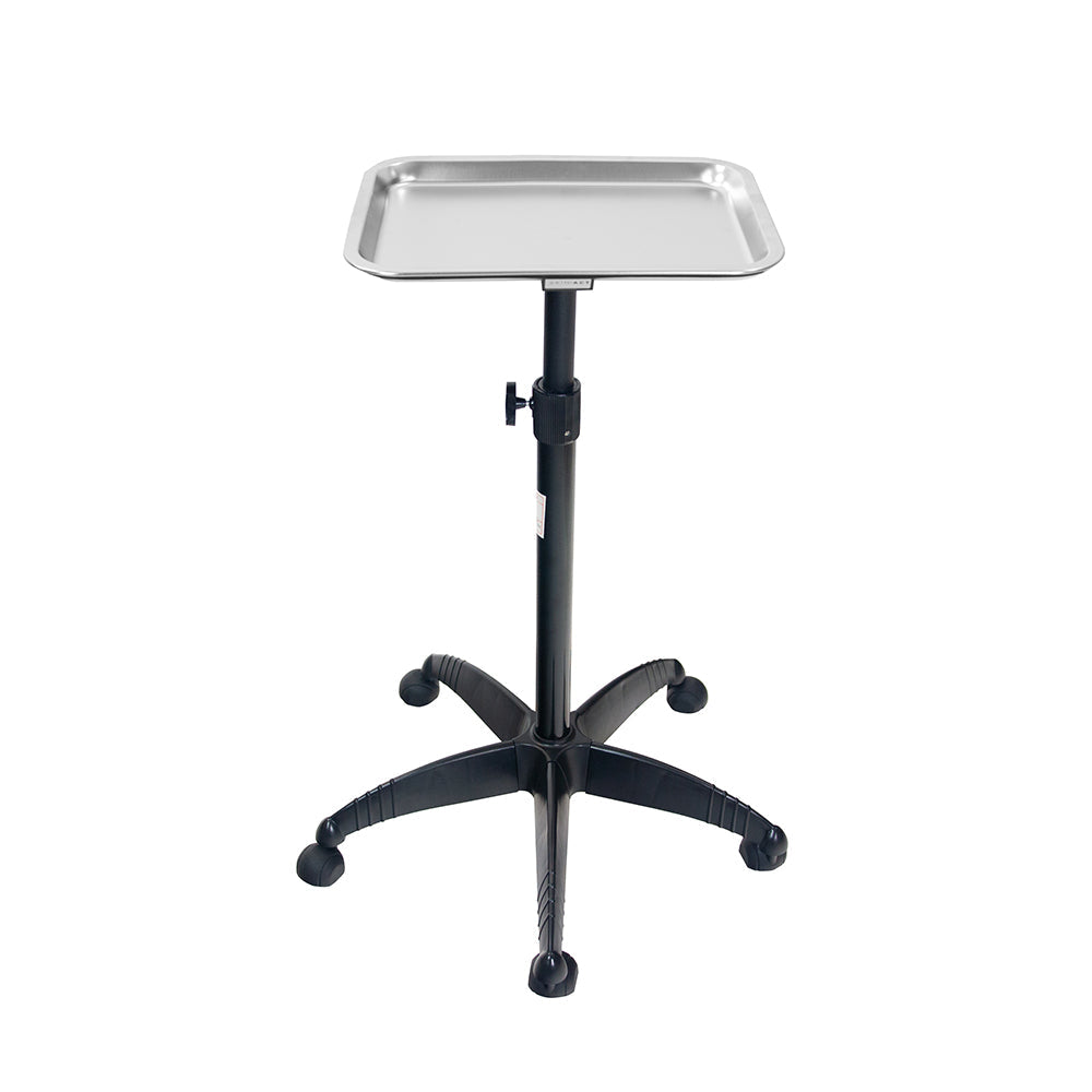 Salon Tray Cart Trolley with removable tray on a white background