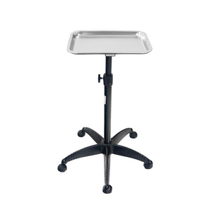 Salon Tray Cart Trolley with removable tray on a white background