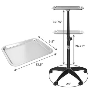 Stainless Steel Salon Tray Cart on Wheels