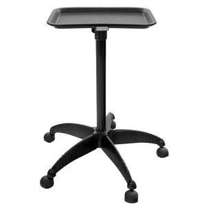 Stainless Steel Salon Tray Cart on Wheels
